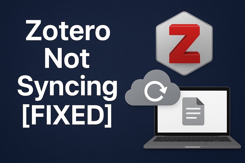 Zotero Not Syncing