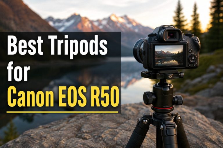 Best Tripods for Canon EOS R50